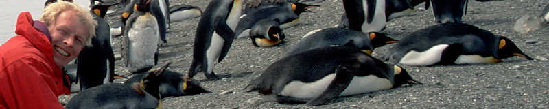 Photographer Allan Hansen and King Penguins